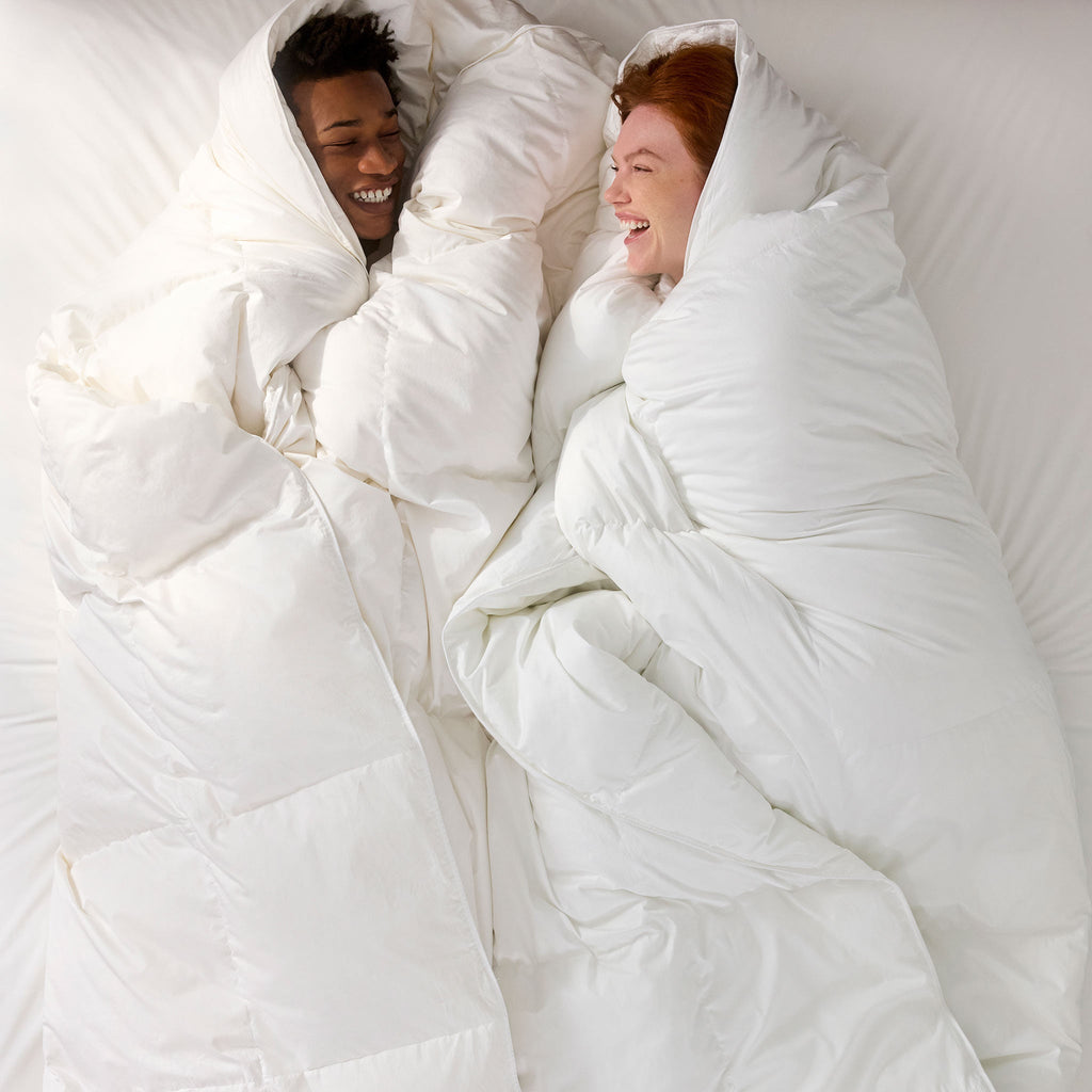Down Comforter B0