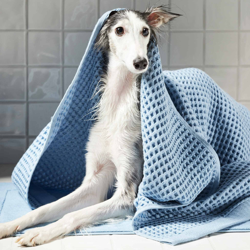 Dreamweave Waffle Bath Towels Set of 2 C6