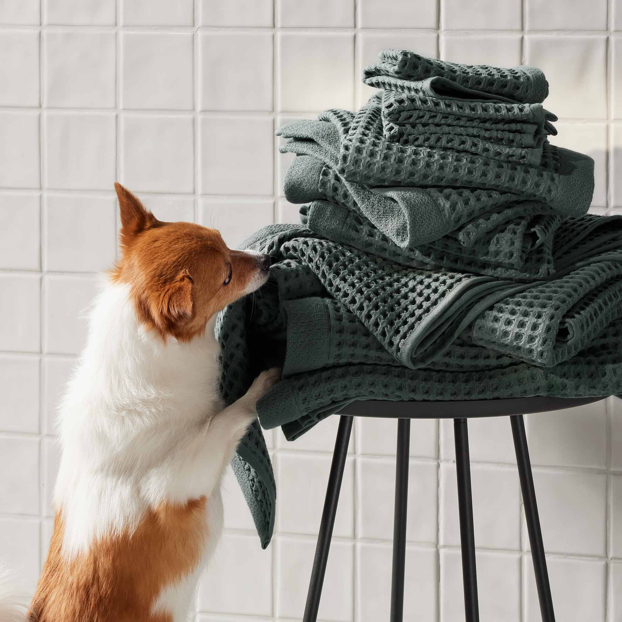 Dreamweave Waffle Bath Towels Set of 2 C6