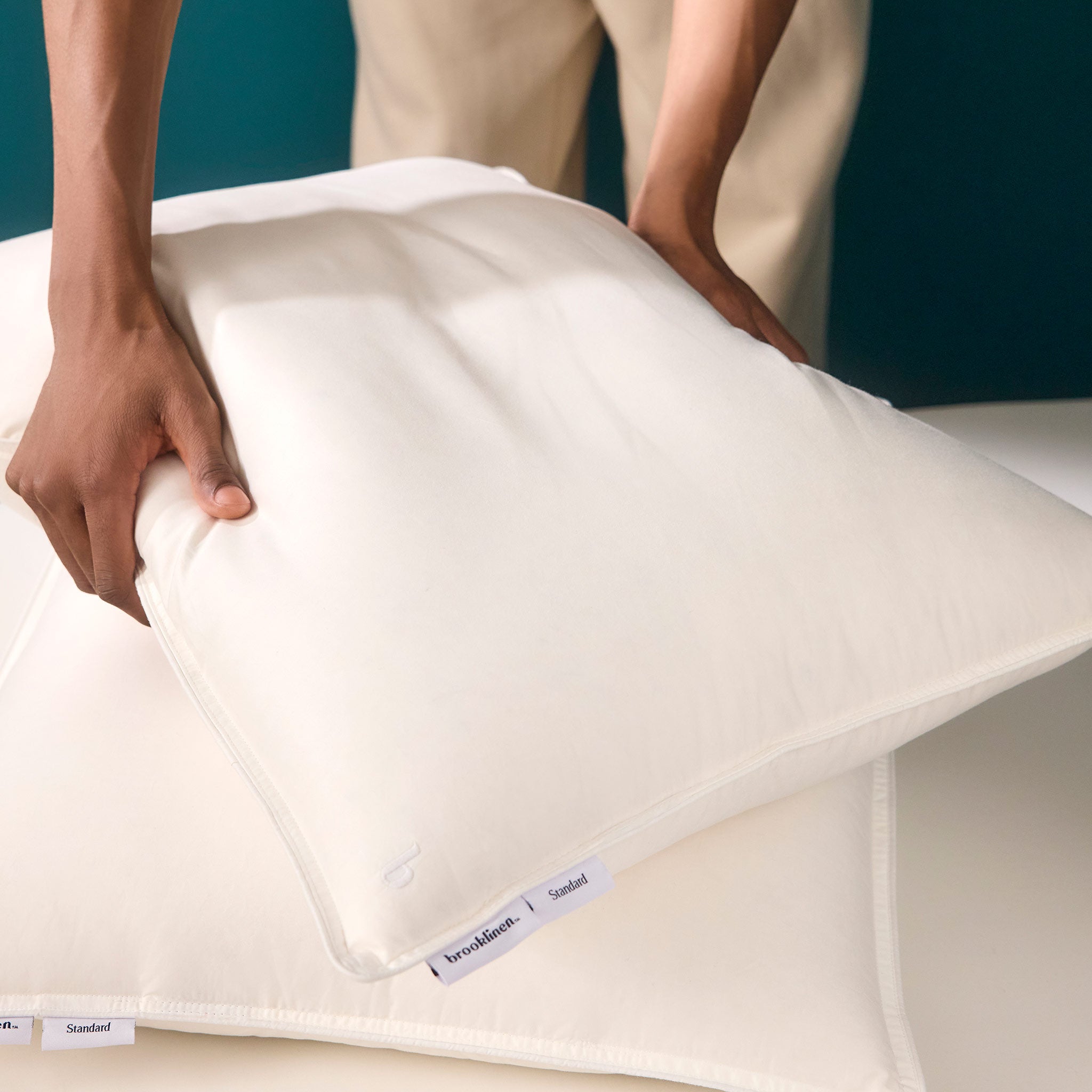 Down Pillow L4
