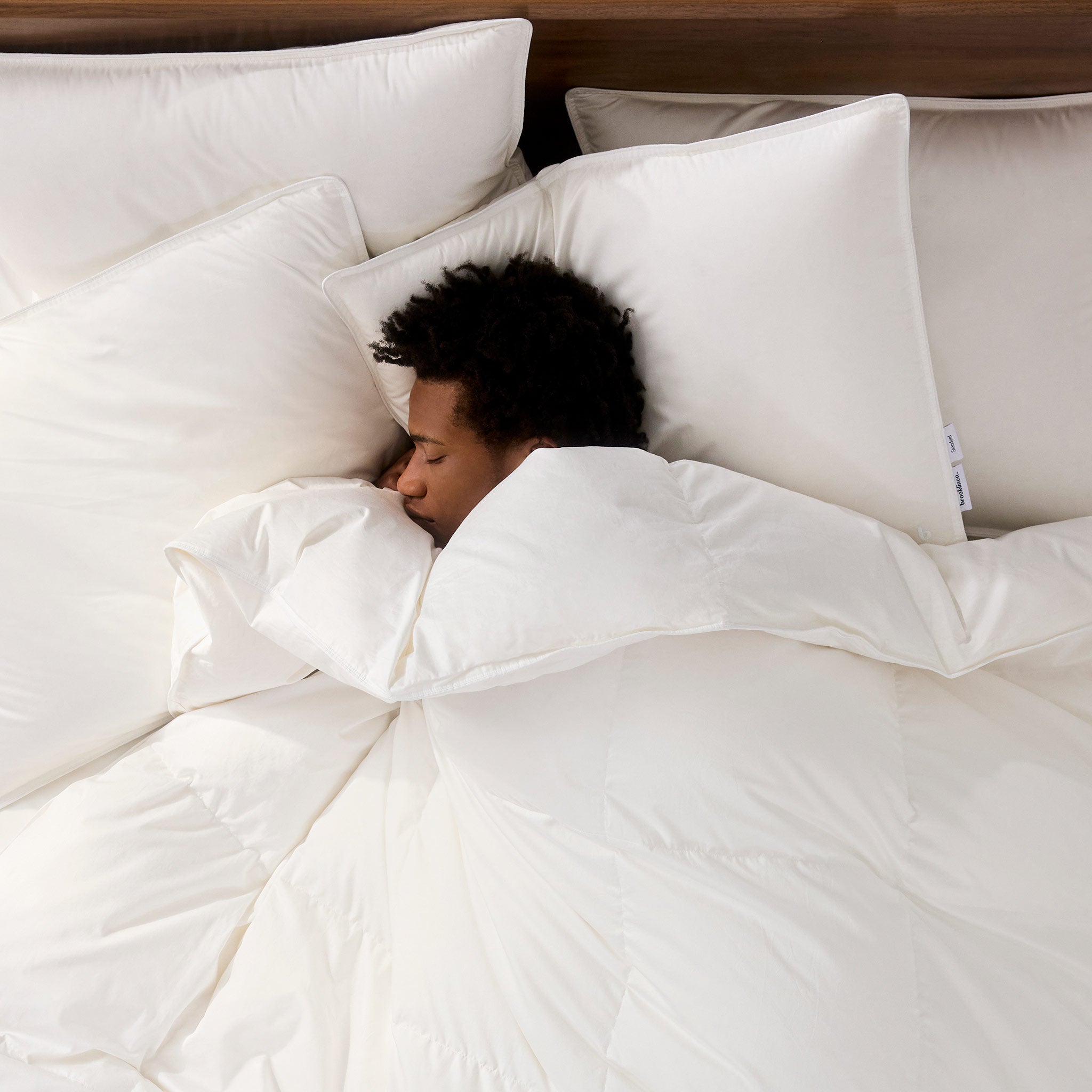 Down Pillow L4