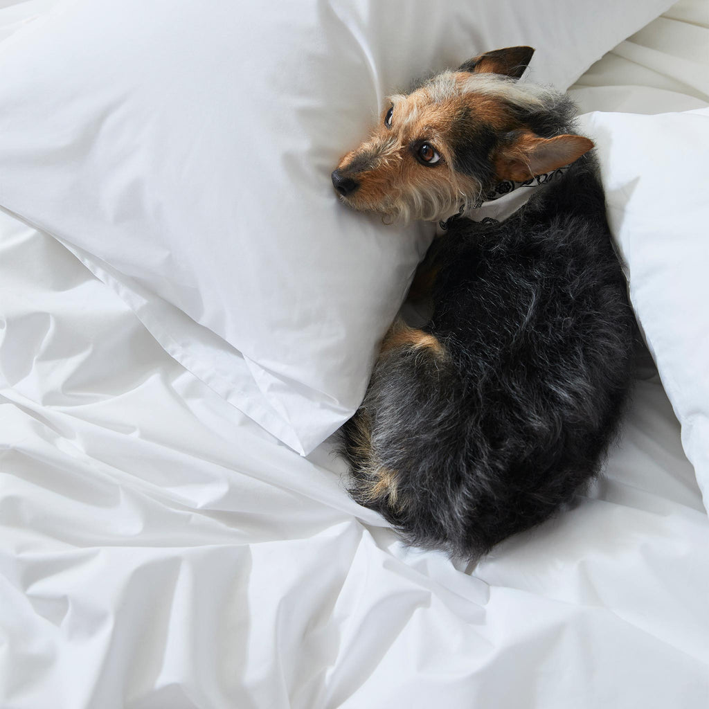 Classic Percale Core Sheet Set T4